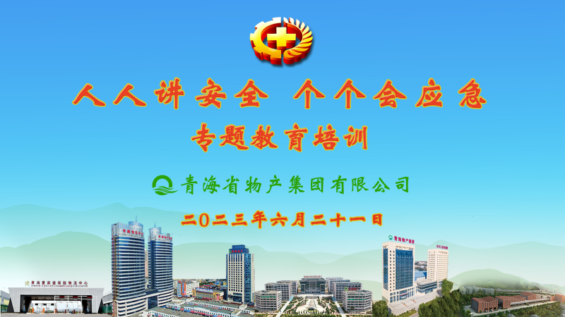 提高安全管理水平 落實(shí)全員安全責(zé)任——集團(tuán)安委會(huì)舉辦2023年“人人講安全，個(gè)個(gè)會(huì)應(yīng)急”專題教育培訓(xùn)